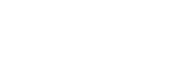 nsf logo